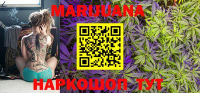 дмт Ставрополь
